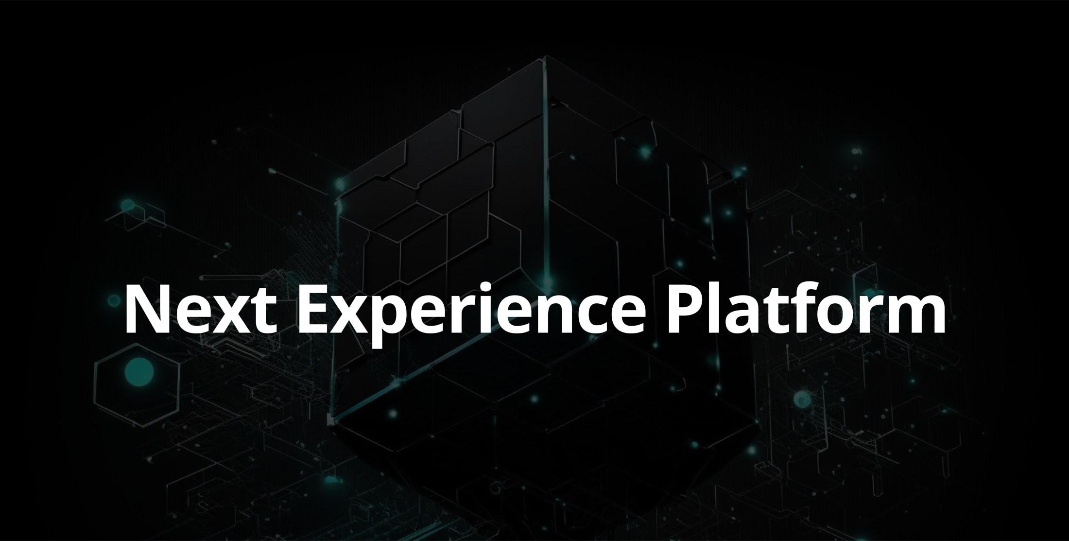 Next Experience Platform Hero